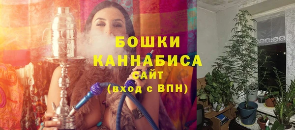 хмурый Ладушкин