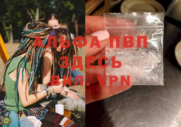 винт Лагань